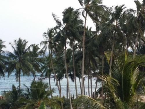 Hostal Allan Guest Mirissa