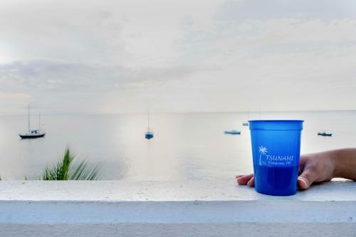 Check-in Vieques Hotel