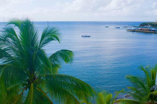 Check-in Vieques Hotel