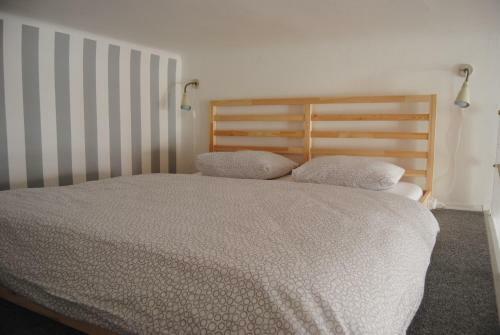 Hostal Hostel Kaktus
