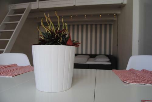 Hostal Hostel Kaktus