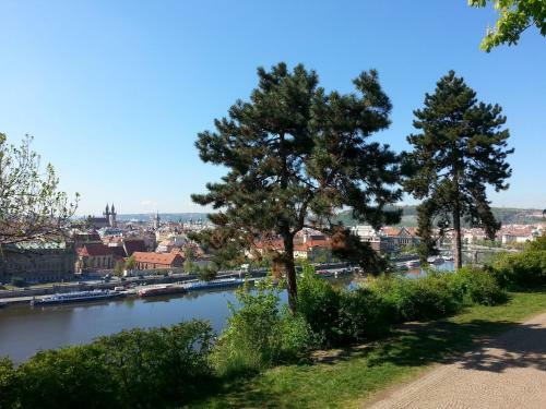 Apartm�n Letn�