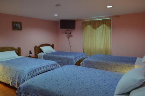 Hostal Travellers Inn