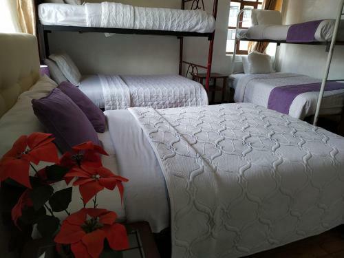 Aleida's Hostal