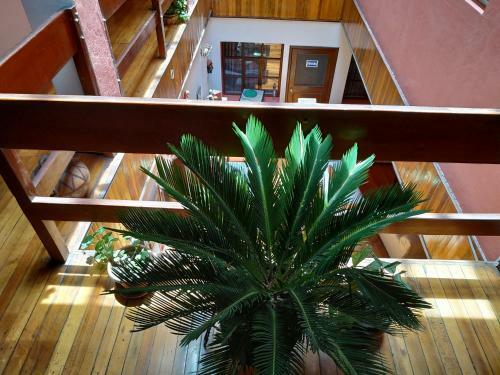 Aleida's Hostal