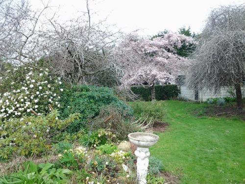 Bed & Breakfast Beaconsfield B & B