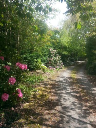 Bed & Breakfast Beaconsfield B & B