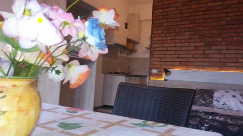 Apartment Evoo