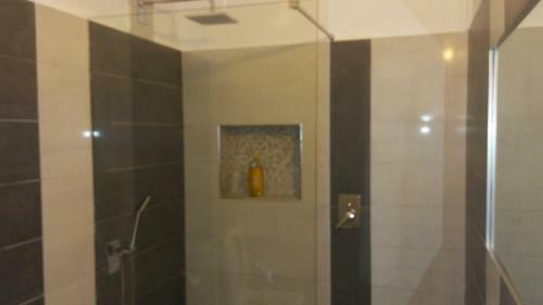 Apartment Evoo