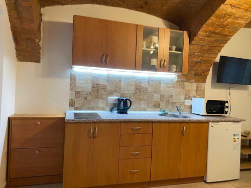 Hostal Pension U Star�ho Dubu