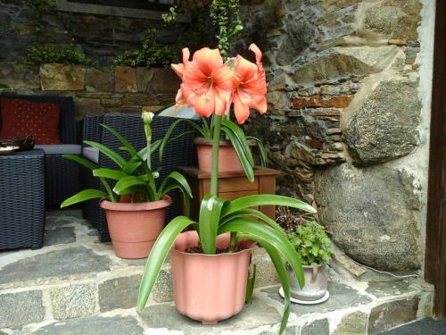 Agroturismo Casa Rural O Carreiro