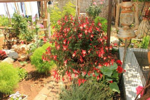 Hostal Studio Cres 7984b