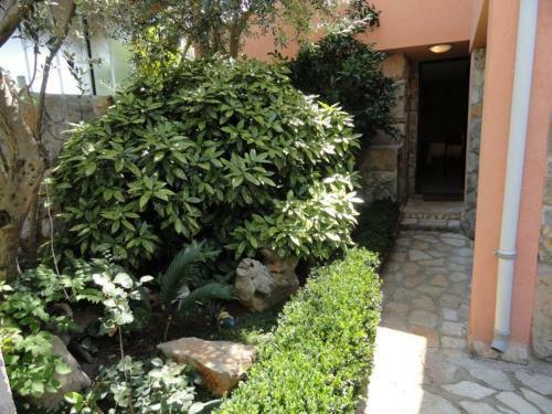 Apartments Vila Feri