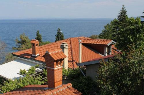 Hostal Double Room Medveja 7775a