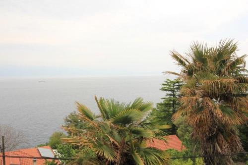 Apartment Medveja 7852a