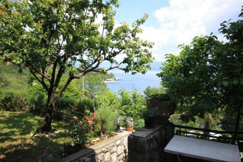 Hostal Double Room Medveja 2305b