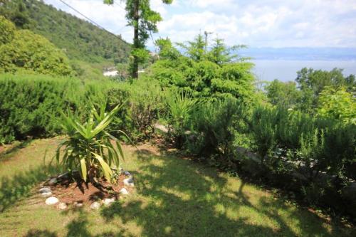 Hostal Double Room Medveja 2305b