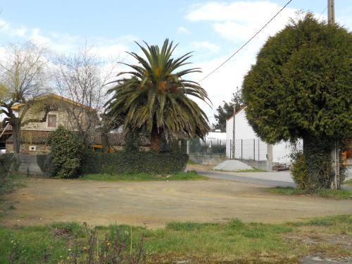 Hostal Pensi�n O' Mes�n