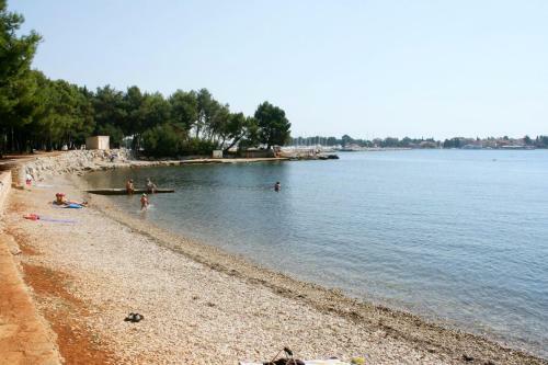 Hostal Studio Novigrad 2536b