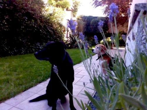 Bed & Breakfast Al Giardino Degli Artisti