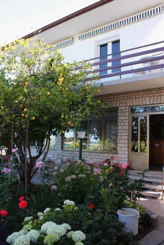 Hostal Double Room Banjol 4976c