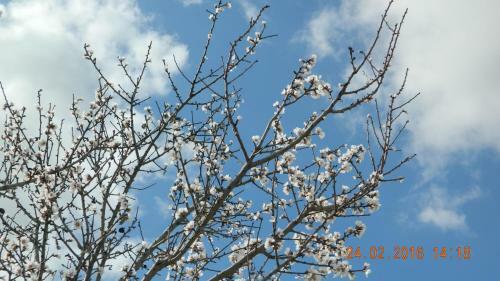 B&B Valle Dell' Ippari