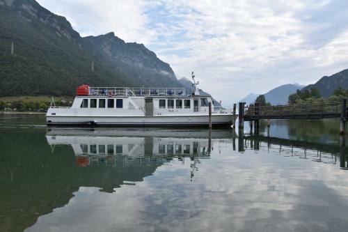 B&B Tulipano