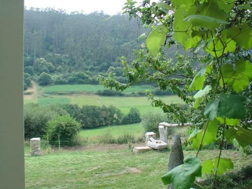 Casas Lucas - Carleo