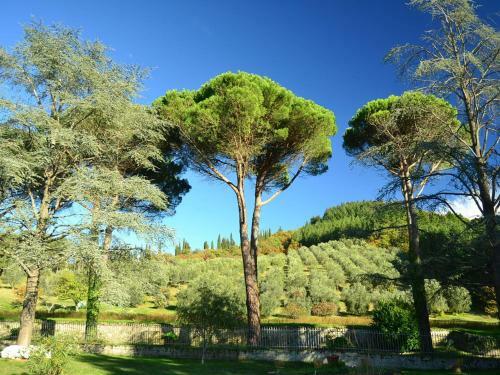 Fattoria I Fratelli Beato Angelico