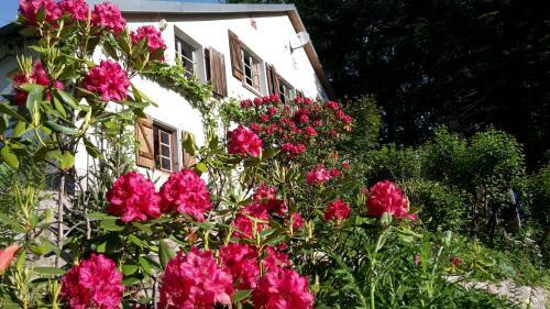 Bed & Breakfast Chambre&table D'hotes Ptitmonde