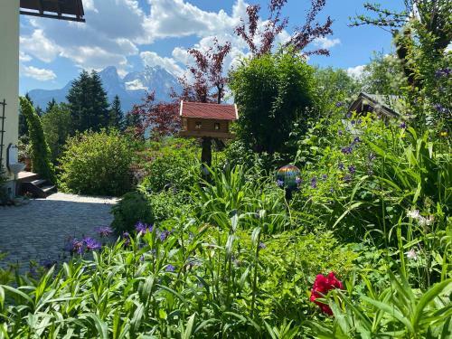 Apartamento Haus Wildmoos