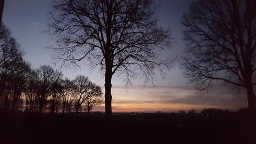 Boerderij De Borgh
