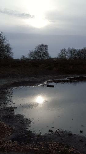 Boerderij De Borgh