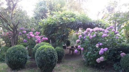 B & B Het Groene Hart
