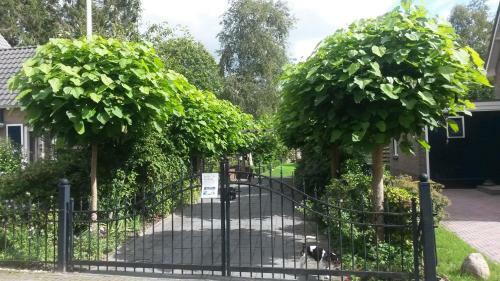 B & B Het Groene Hart