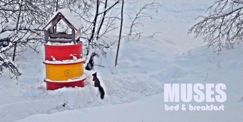 Bed & Breakfast Muses Bnb
