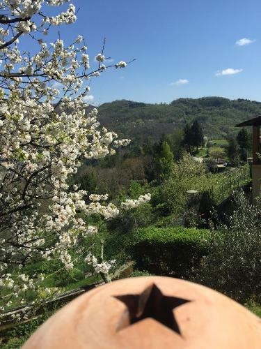 B&B Puccini