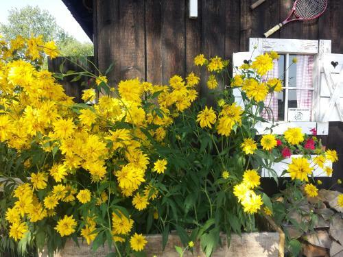 Apartamento Siedlisko Blanki