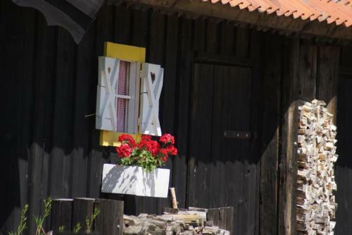 Apartamento Siedlisko Blanki