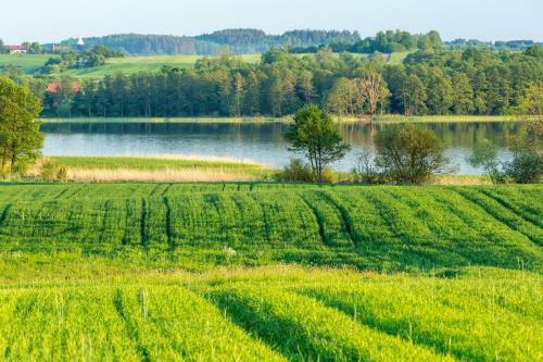 Apartamento Siedlisko Blanki
