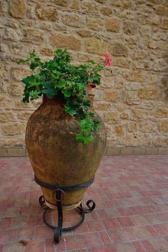 Il Triclinio B&B