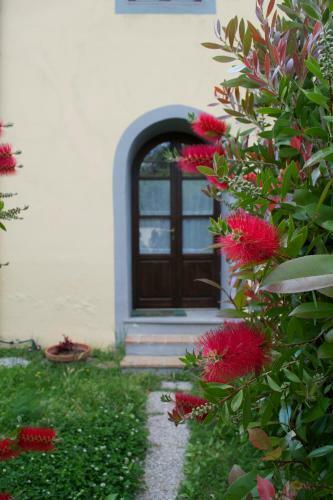 Apartamento Residence Giuly Rosselmini