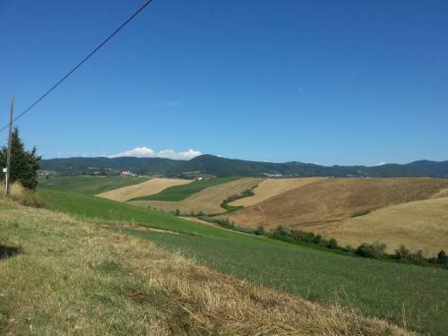 Apartamento Residence Giuly Rosselmini