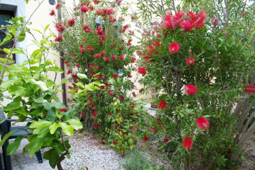Apartamento Residence Giuly Rosselmini