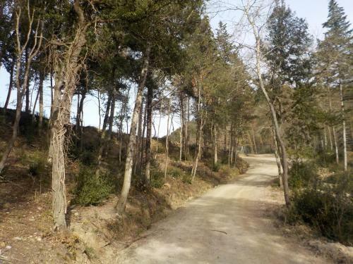Apartamento Agriturismo Ormanni - Podere La Querce