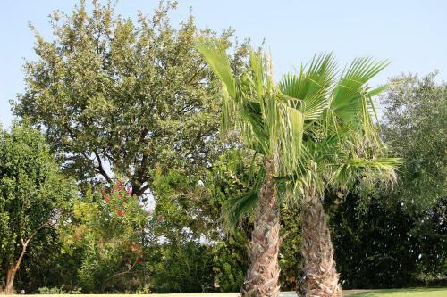 Camping Le Dolium