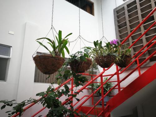 Hotel Hojarascas