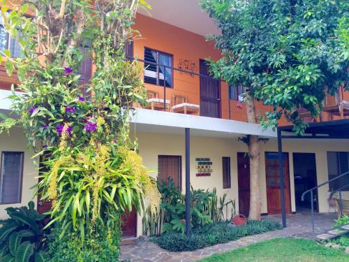 Mi Casa Hostel