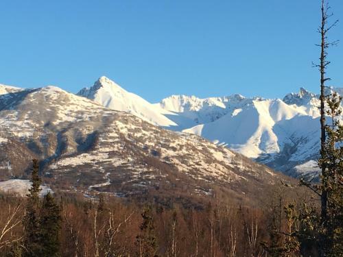 Alaska Knotty Pine B&B