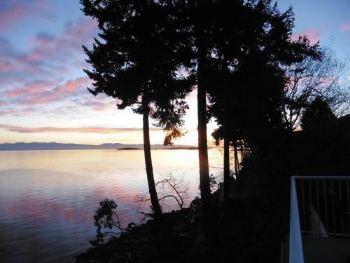 Dolphin Beach Oceanfront Cottage